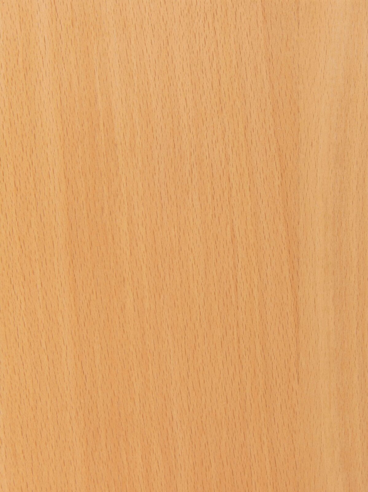 Prime Beech Full Stave Worktop Sample 200mm x 150mm x 38mm - Image 2