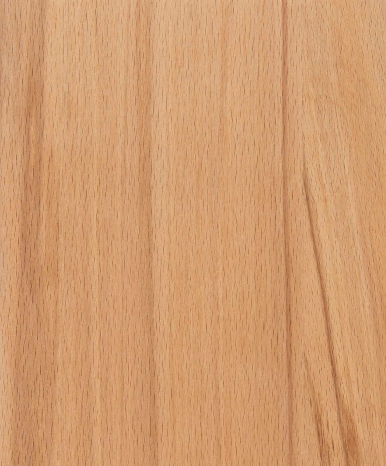 Rustic Beech Full Stave Worktop Sample 200mm x 150mm x 38mm - Image 2